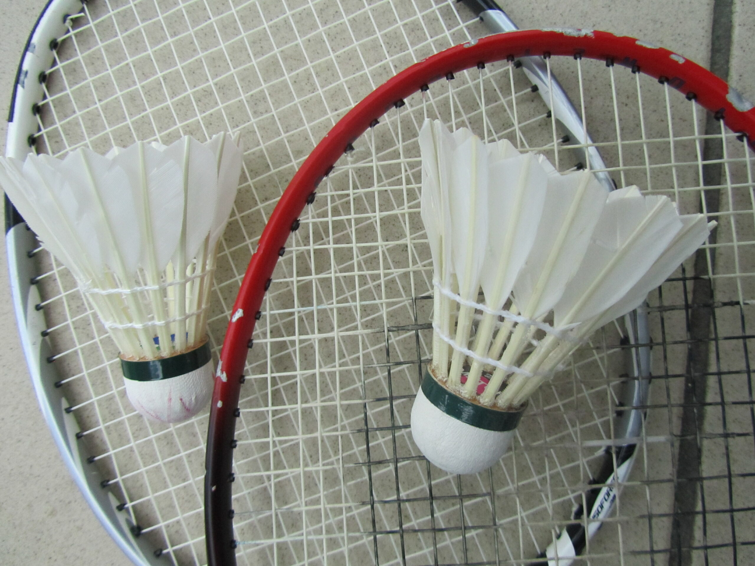 Badminton: Ausgezeichneter Zwischenstand nach der Hinrunde